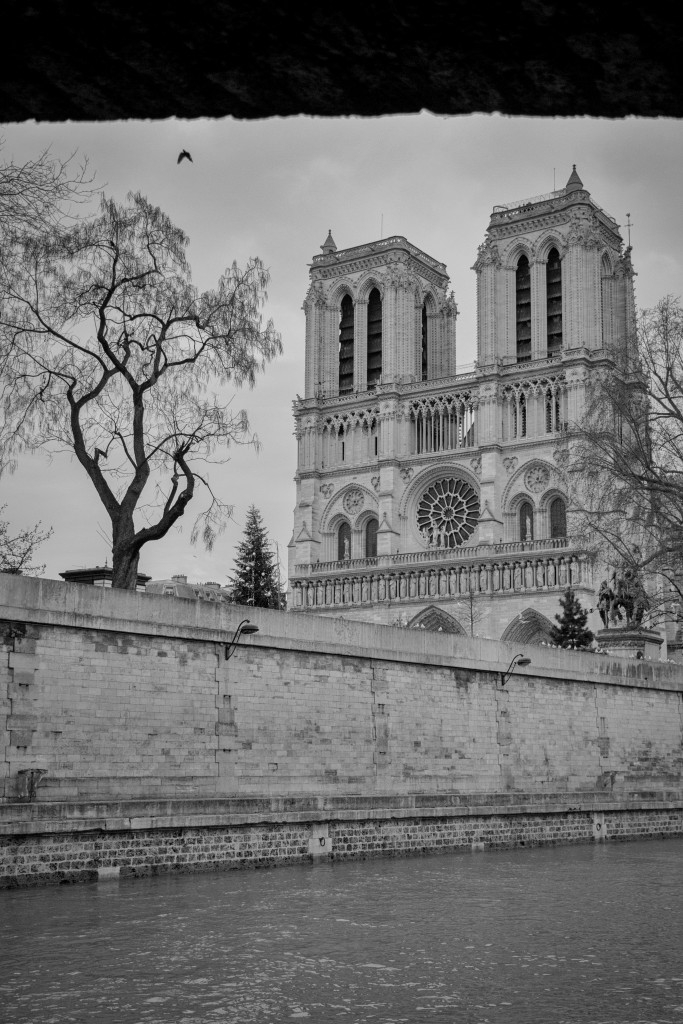Sortie photo Paris Quais de Seine - Notre Dame