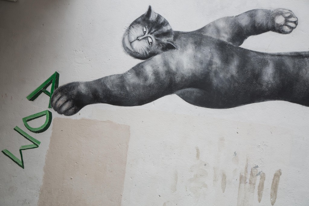 Street Art Le chat