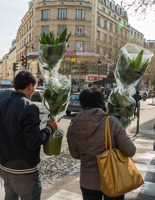 passants avec plante