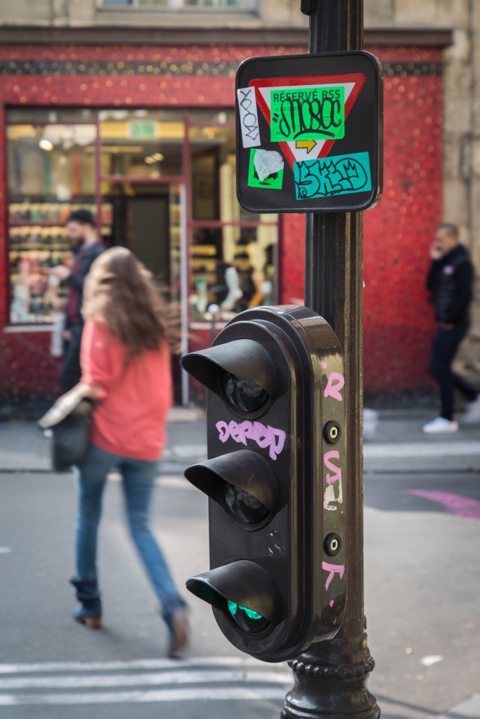 Un saut dans le marais