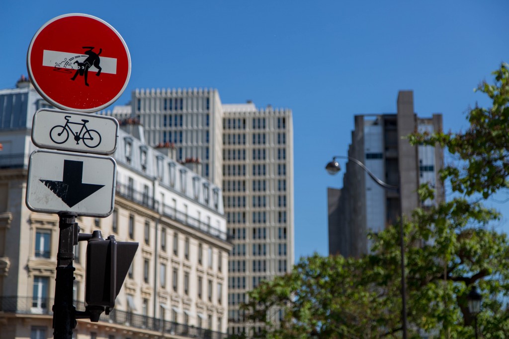 Street art Clet Le chien