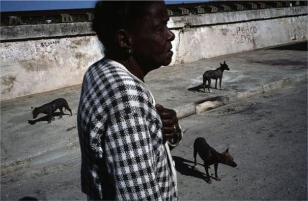 Alex Webb6