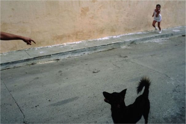 Alex Webb9