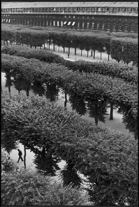 Henri Cartier-Bresson jardin palais royal