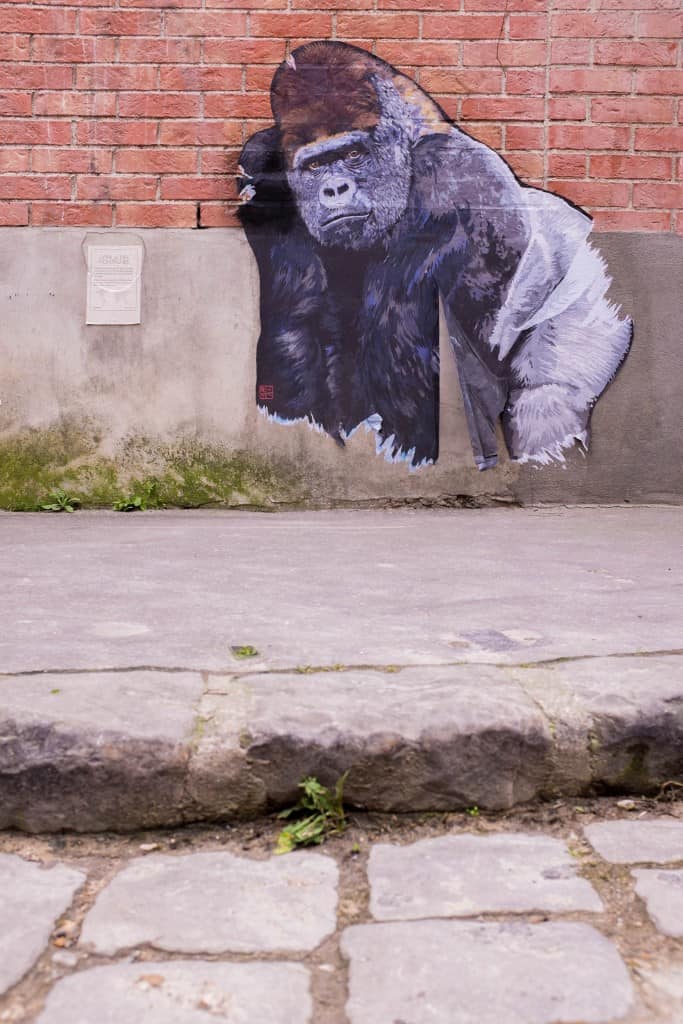 gorille streetart
