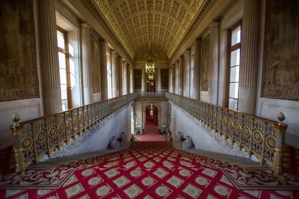 Senat-12