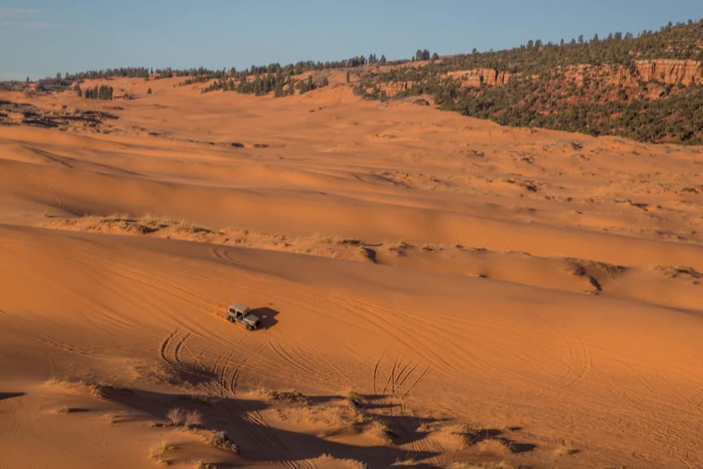 Coral sand dunes 