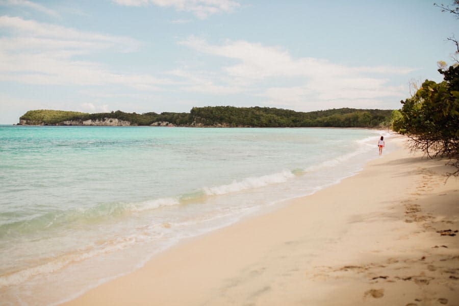 plage moustique à marie galante Guadeloupe